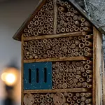 Appartement Krebiehls Winkelhof *