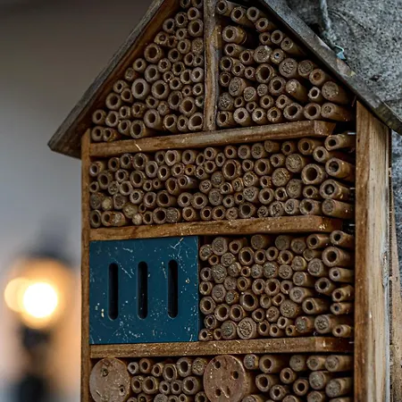 Διαμέρισμα Krebiehls Winkelhof *