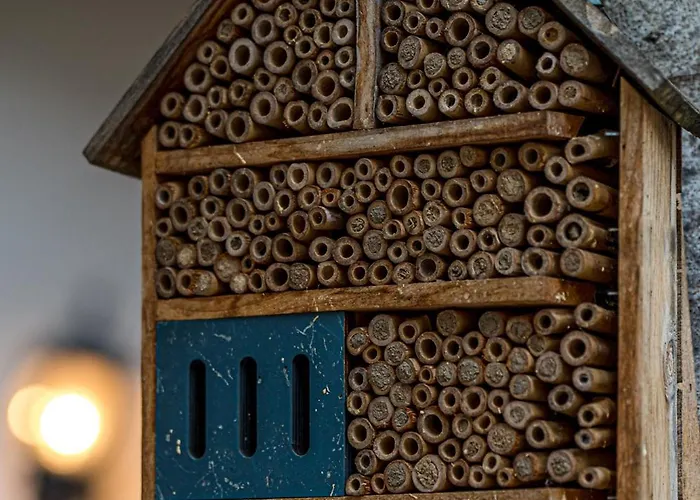 Apartment Krebiehls Winkelhof *